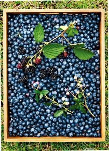 거창 단풍 명소 추천 - 가을 여행 베스트 5곳