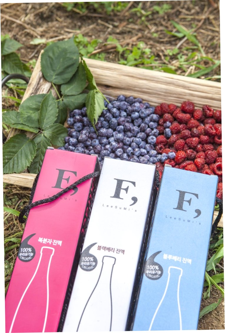 거창 체험 관광